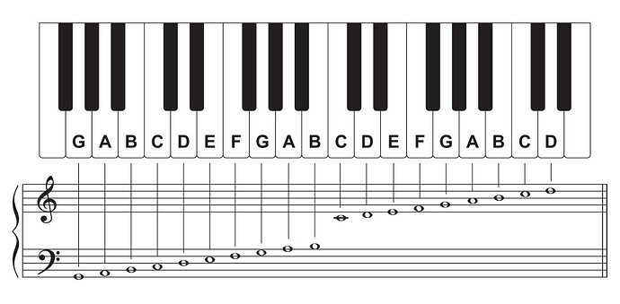 piano-keyboard-diagram-layout-vector-22627915